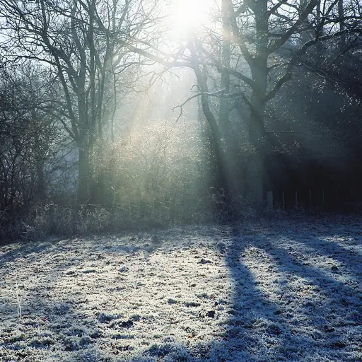 Heavenward • Cały album • Wszystkie utwory • Wykonawca