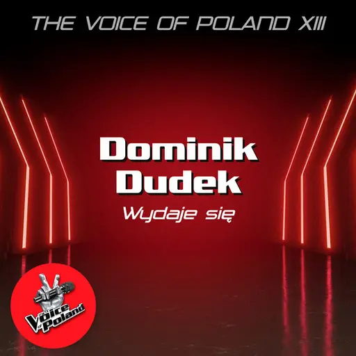 Wydaje Się • Cały album • Wszystkie utwory • Wykonawca