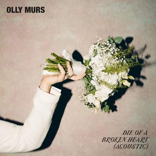 Die Of A Broken Heart (Acoustic) • Cały album • Wszystkie utwory • Wykonawca
