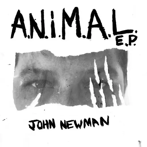 A.N.i.M.A.L • Cały album • Wszystkie utwory • Wykonawca