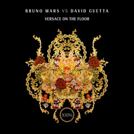 Versace On The Floor (Bruno Mars vs. David Guetta) • Cały album • Wszystkie utwory • Wykonawca