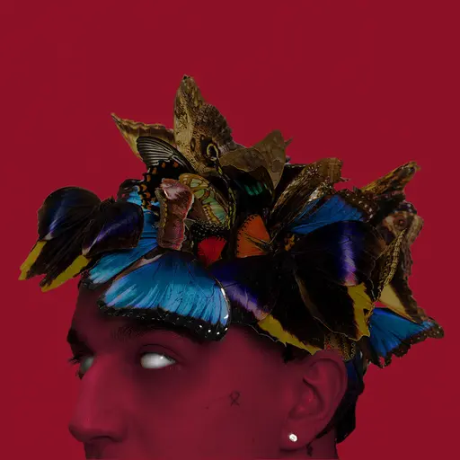 PUŁAPKA NA MOTYLE • Cały album • Wszystkie utwory • Wykonawca