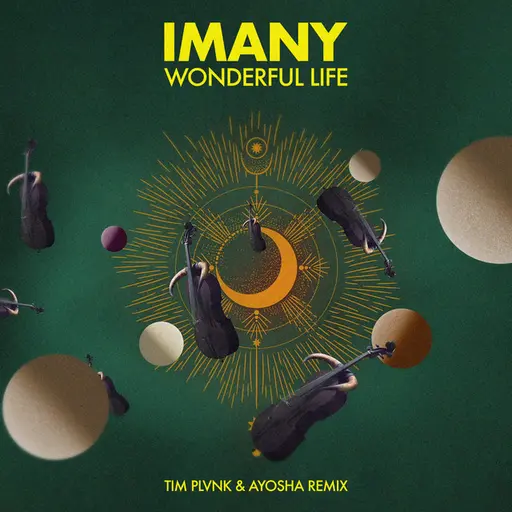 Wonderful Life (Tim Plvnk & Ayosha Remix) • Cały album • Wszystkie utwory • Wykonawca