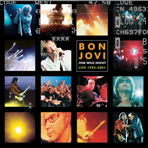 One Wild Night Live 1985-2001 • Cały album • Wszystkie utwory • Wykonawca