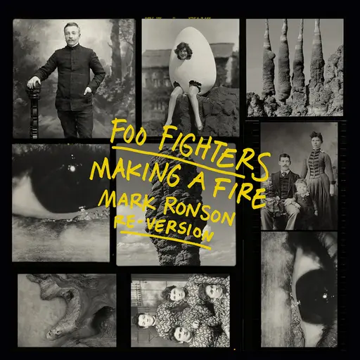 Making A Fire (Mark Ronson Re-Version) • Cały album • Wszystkie utwory • Wykonawca
