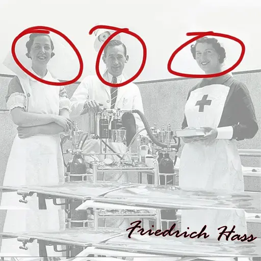 FRIEDRICH HASS (2012) • Cały album • Wszystkie utwory • Wykonawca