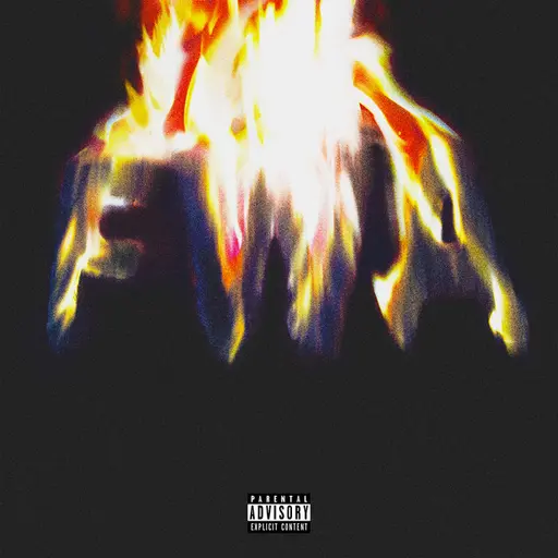 FWA • Cały album • Wszystkie utwory • Wykonawca