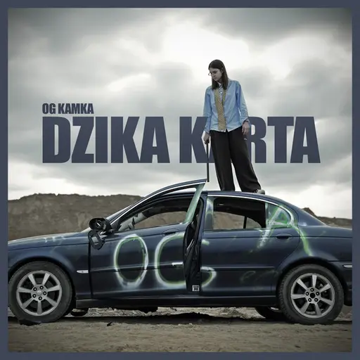 DZIKA KARTA • Cały album • Wszystkie utwory • Wykonawca