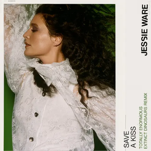 Save A Kiss (TEED Remix) • Cały album • Wszystkie utwory • Wykonawca