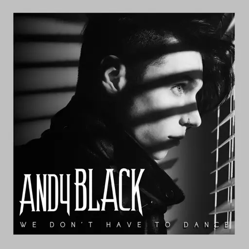 We Don't Have To Dance • Cały album • Wszystkie utwory • Wykonawca