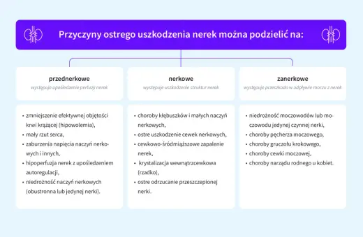 Schemat przyczyn ostrego uszkodzenia nerek (AKI): przednerkowe, nerkowe i zanerkowe.