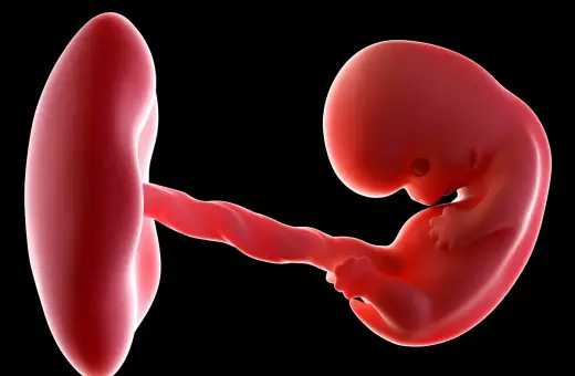Trójwymiarowe USG w 8 tygodniu ciąży ukazuje zarodek z widocznym pępowiną i pęcherzykiem żółtkowym.