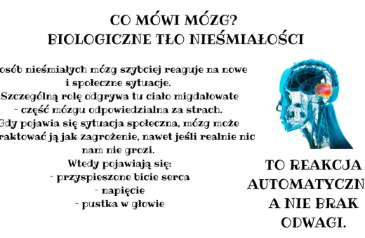 Mózg nieśmiałych reaguje szybciej na nowe sytuacje. Ciało migdałowate, odpowiedzialne za strach, może potraktować je jak zagrożenie. To reakcja automatyczna, nie brak odwagi.