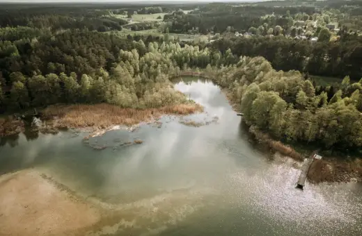Malownicze jezioro Świętajno otoczone lasami i trzcinami. W oddali widać zabudowania wsi.