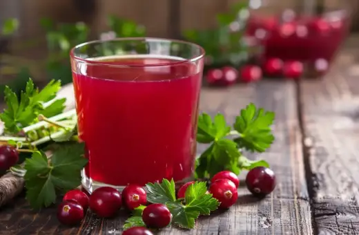 Szklanka soku żurawinowego z żurawiną i korzeniem łopianu. Naturalny sposób, jak wypłukać bakterie z moczu.