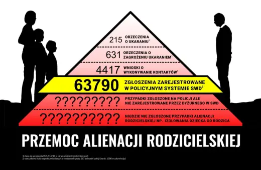 Piramide problemów: od orzeczeń po zgłoszenia policyjne. Liczby pokazują skalę przemocy alienacji rodzicielskiej.