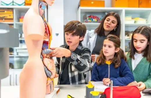 Chłopiec wskazuje na model organów, omawiając edukacja zdrowotna tematy z nauczycielem i uczniami.