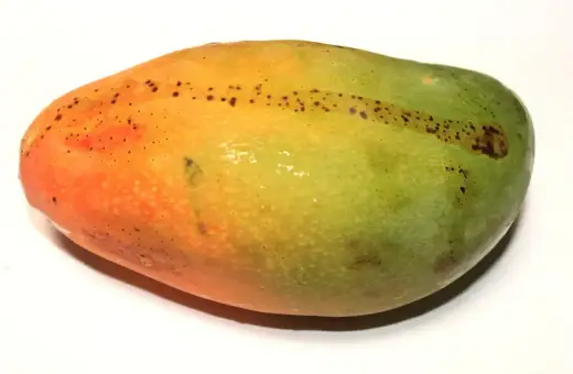 Okrągłe, owalne mango z przejściem kolorów od pomarańczowego do zielonego, z drobnymi, ciemnymi plamkami.