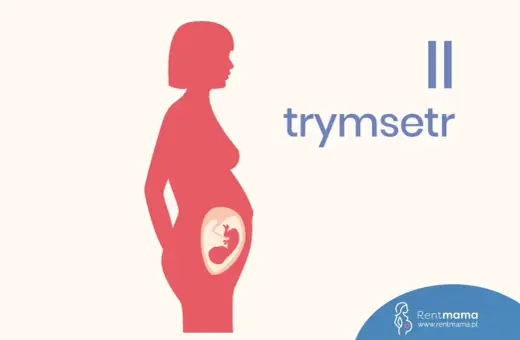 Sylwetka kobiety w ciąży z widocznym płodem. Napis "II trymestr" informuje o tym etapie.