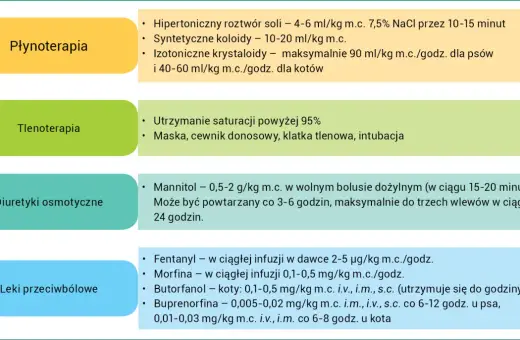 Diuretyki osmotyczne: mannitol 0,5-2 g/kg m.c. w bolusie dożylnym, powtarzany co 3-6 godzin.