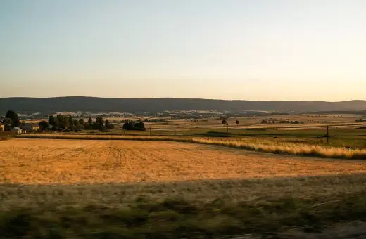 Złote pola pszenicy i zielone łąki rozciągają się aż po horyzont, gdzie w oddali widać łagodne wzgórza. To krajobraz przypominający o najstarszych górach w Polsce.