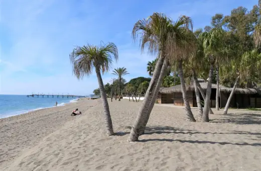 Piękny marbella beach z palmami, piaskiem i molo w oddali. Słońce i błękitne niebo zapraszają do relaksu.