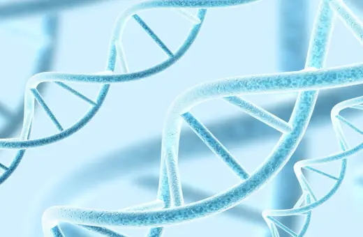 Niebieskie, spiralne struktury DNA, symbolizujące polimorfizm i różnorodność genetyczną, unoszą się w delikatnym, rozmytym tle.