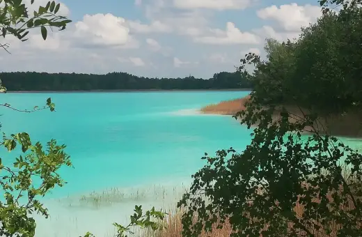 Turkusowe jezioro w Koninie, otoczone zielenią i trzcinami, lśni w słońcu.