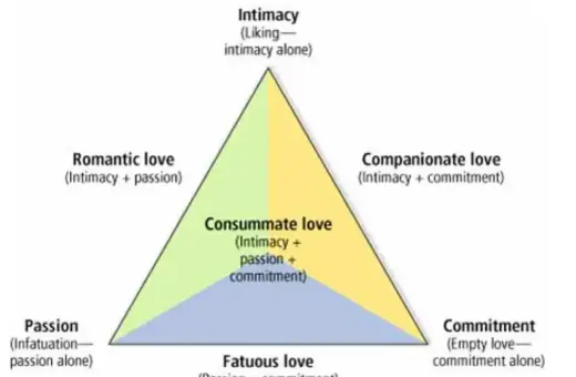 Diagram przedstawiający rodzaje miłości: intymność, namiętność, zaangażowanie i ich kombinacje, tworząc miłość romantyczną, towarzyską, nierozumną i doskonałą.