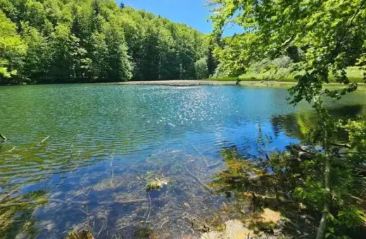 Zielone, spokojne jeziorka duszatyńskie otoczone bujnym lasem. Słońce odbija się w wodzie, tworząc iskrzące refleksy.