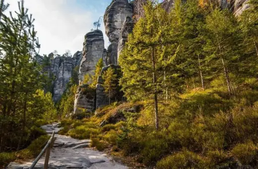 Kamienista ścieżka prowadzi przez skalne miasto w Czechach, otoczone gęstym lasem iglastym i wysokimi, strzelistymi formacjami skalnymi.