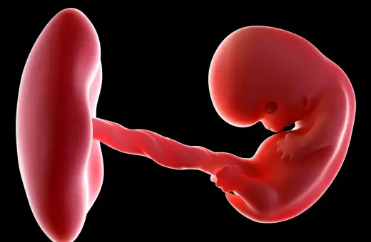 Trójwymiarowe USG w 8 tygodniu ciąży ukazuje zarodek z widocznym pępowiną i pęcherzykiem żółtkowym.
