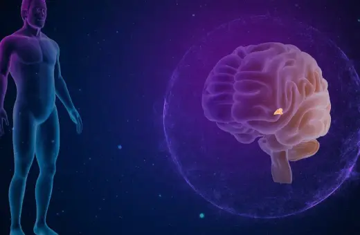Anatomical illustration showing a human silhouette and a brain. A highlighted area within the brain indicates a torbiel szyszynki.