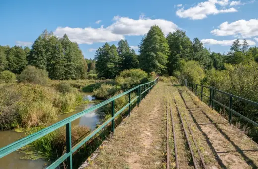 Most starych torów kolejowych nad rzeką w najstarszym parku narodowym w Polsce.