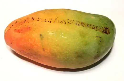 Okrągłe, owalne mango z przejściem kolorów od pomarańczowego do zielonego, z drobnymi, ciemnymi plamkami.