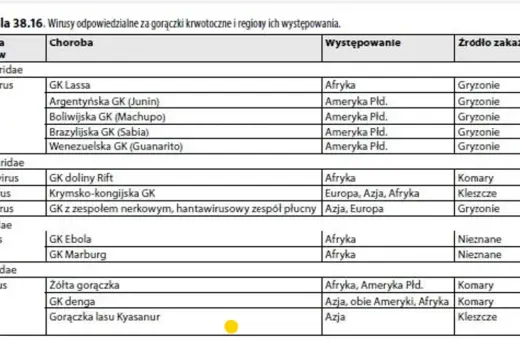 Tabela przedstawia wirusy odpowiedzialne za gorączki krwotoczne, w tym wirus Marburg, jego występowanie w Afryce i nieznane źródło zakażenia.