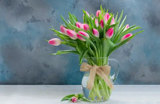 Bukiet różowych tulipanów w dzbanku z jutową kokardą. Czy wiesz, że tulipan to symbol wiosny i miłości?