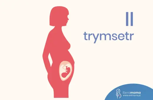 Sylwetka kobiety w ciąży z widocznym płodem. Napis "II trymestr" informuje o tym etapie.