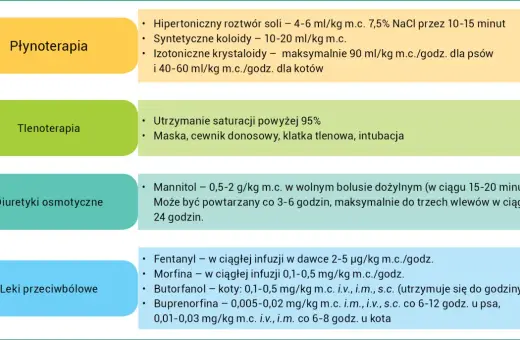 Diuretyki osmotyczne: mannitol 0,5-2 g/kg m.c. w bolusie dożylnym, powtarzany co 3-6 godzin.