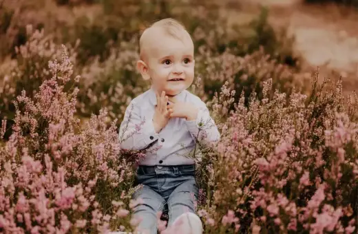 Uroczy chłopiec w jeansach i koszuli siedzi pośród kwitnącej wrzosowej łąki. Idealny motyw przewodni na roczek dla dziewczynki, pełen naturalnego piękna.