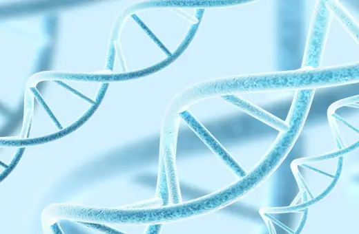 Niebieskie, spiralne struktury DNA, symbolizujące polimorfizm i różnorodność genetyczną, unoszą się w delikatnym, rozmytym tle.