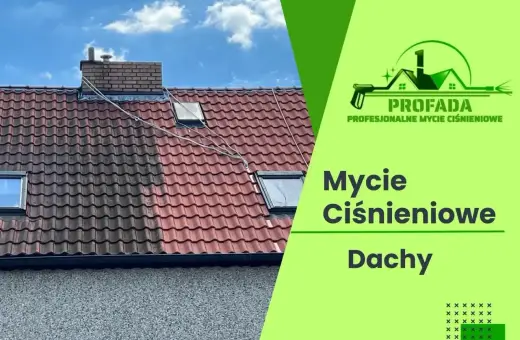 Profesjonalne mycie dachu cena za m2. Efekt czystego dachu po myciu ciśnieniowym. Zobacz, jak odmienić swój dom!