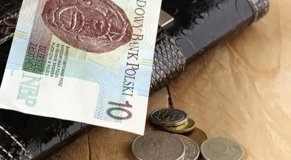 Portfel z banknotem 10 zł i monetami. Zastanawiasz się, skąd wziąć pieniądze?