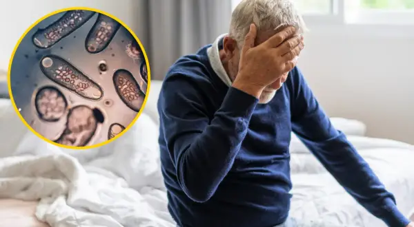 Toksoplazmoza a psychika: Czy pasożyt zmienia Twój umysł?