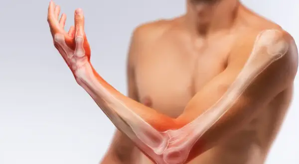 Anatomia ręki i przedramienia z widocznymi kośćmi i podświetlonymi obszarami.