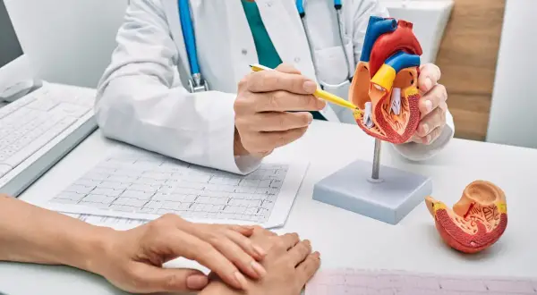 Lekarz omawia z pacjentem model serca i EKG, wyjaśniając szczegóły dotyczące świadczenia rehabilitacyjnego.