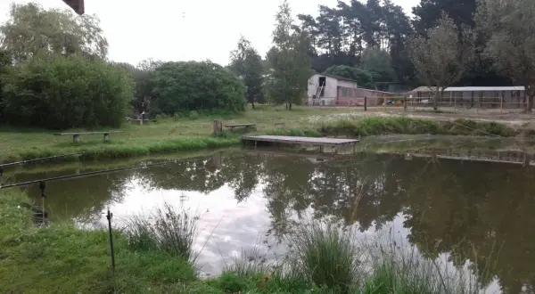 Spokojne łowisko nowe marzy o złowieniu okazałej ryby. Woda odbija drzewa, a w tle widać budynki i las.