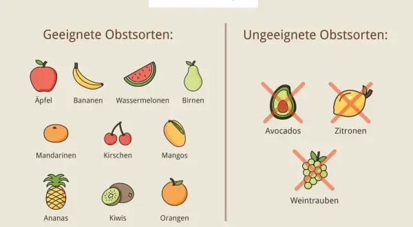 Geeignete und ungeeignete Obstsorten für den Hund: Äpfel, Bananen, Wassermelonen, Birnen, Mandarinen, Kirschen, Mangos, Ananas, Kiwis, Orangen sind gut. Avocados, Zitronen und Weintrauben sind schlecht.