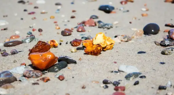 Kilka kawałków bursztynu, od jasnych po ciemne, leży na piaszczystej plaży wśród mokrych kamieni.