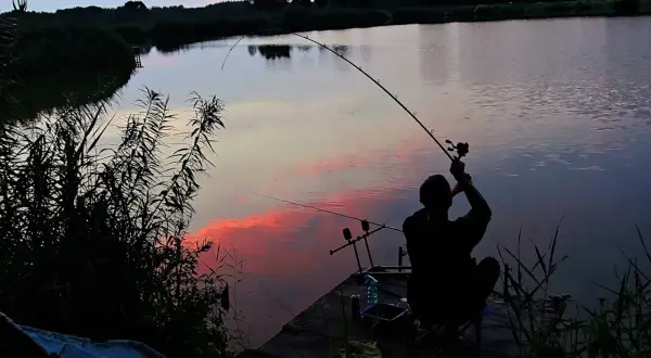 Wędkarz łowiący na feeder przy zachodzie słońca nad jeziorem.